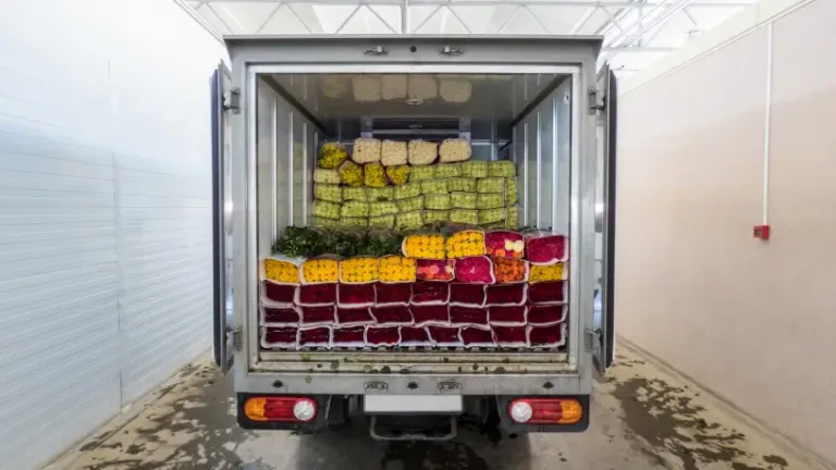 Transporte de alimentos perecíveis: Guia completo para garantir a segurança e qualidade