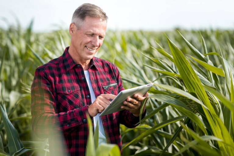 Exportação de produtos agrícolas no Brasil: tendências e desafios